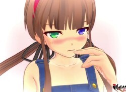 Sony Seemingly Censors Controversial Senran Kagura Mode
