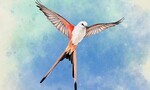 Serene Avian Card Game Wingspan Flutters onto PS5, PS4