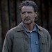 TV Show Review: The Last Of Us (HBO) Season 2 Episode 6 - Robbing the Story of Its Genius